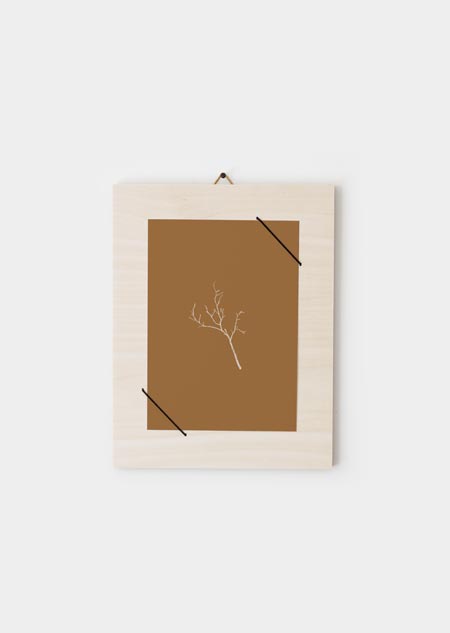 Branch without leaves (ochre)