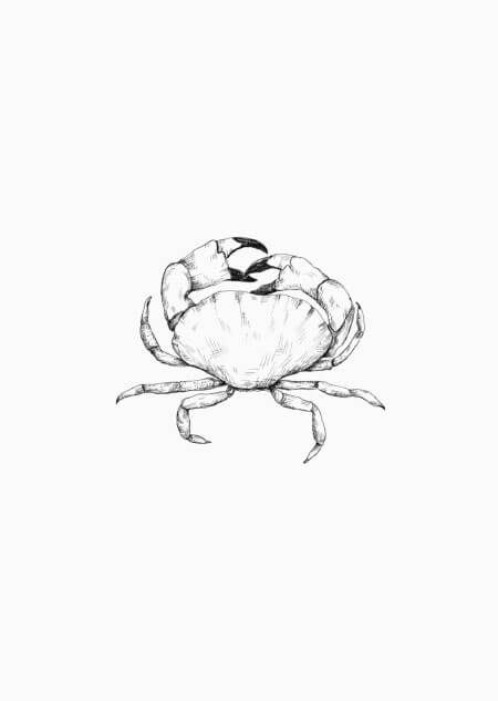 Crab - A5