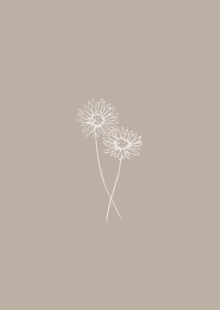 Daisies (taupe)