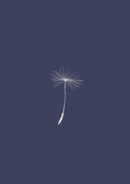 Dandelion seed (blue) 