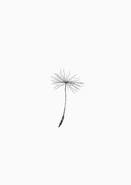 Dandelion seed (black-white)