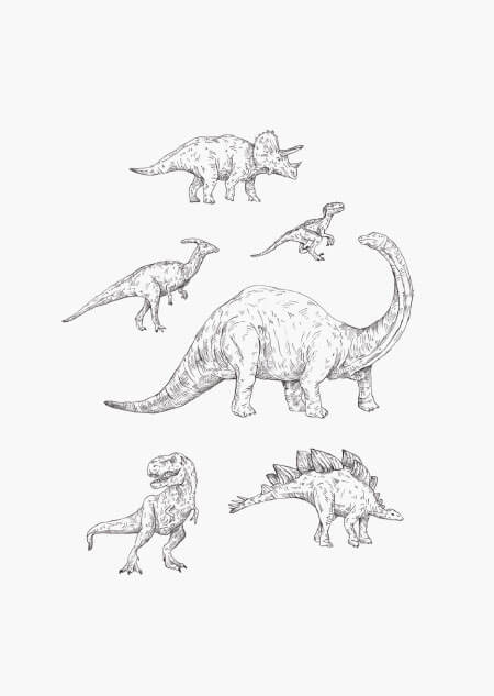 Dinosauriërs - A5 print 