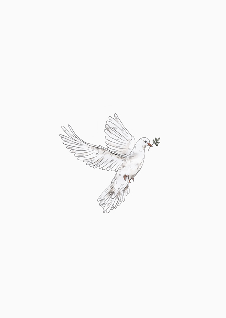 Dove (color)
