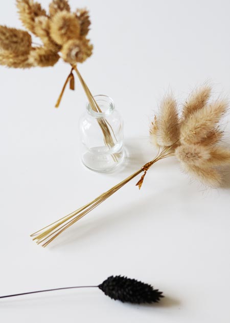 Dried flowers - set of 10