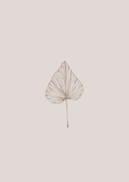 Palm blad (beige) - A5