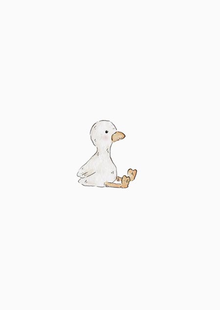 Duck (small)