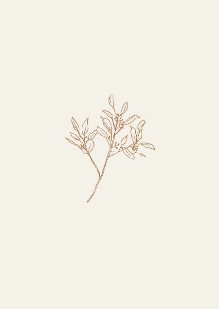 Eucalyptus (beige) - A4