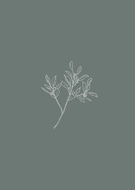 Eucalyptus (groen) - A4