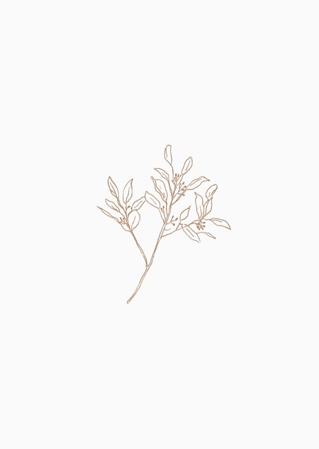 Eucalyptus (natural) - A5 print