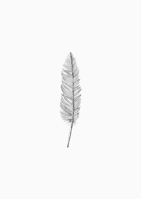 Feather - A5