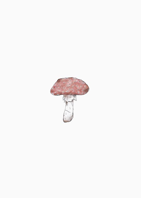Mushroom (color)