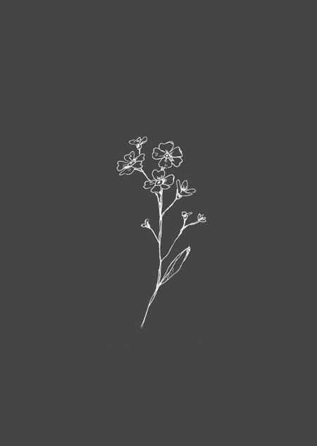 Forget-me-nots (grey) 