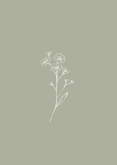 Forget-me-nots (sage green)