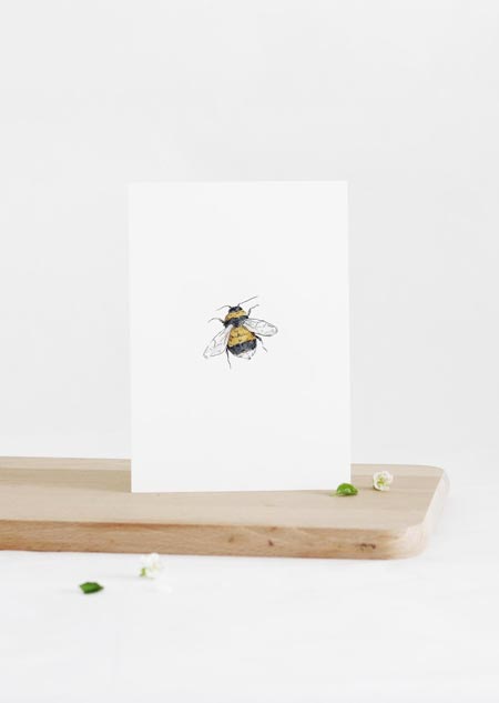 Bumblebee (color)