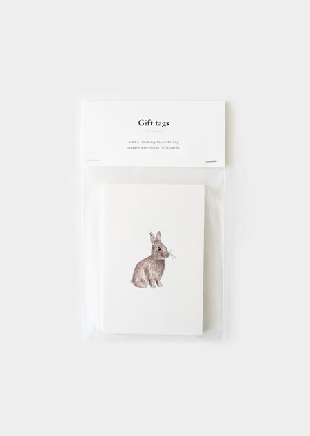 Cadeaukaartjes - 10x konijntje (kleur)