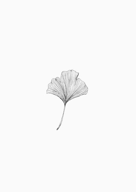 Ginkgo - A4 poster