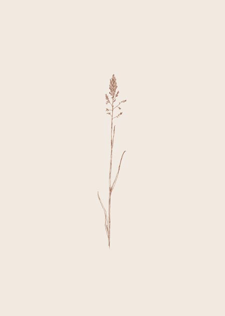 Grass 2 (beige) - A5