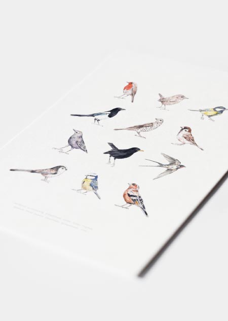 Birds - A4 poster