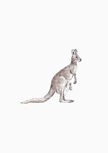 Kangaroo - A5 print