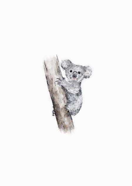 Koala - A4 