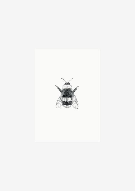 Label - bee (bw)