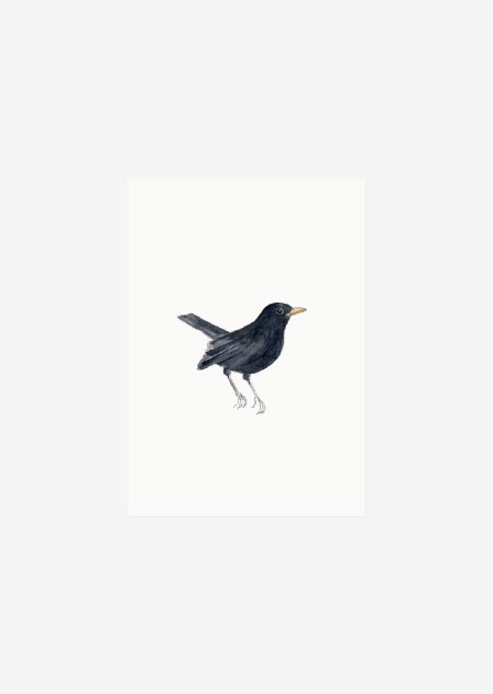Label - blackbird