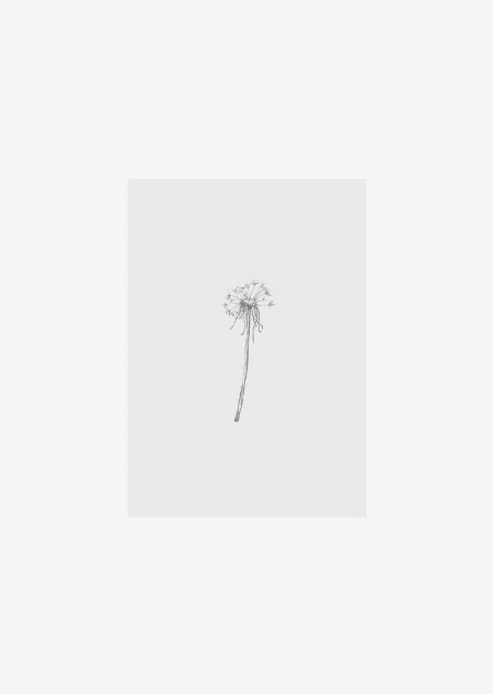 Label - 10x dandelion