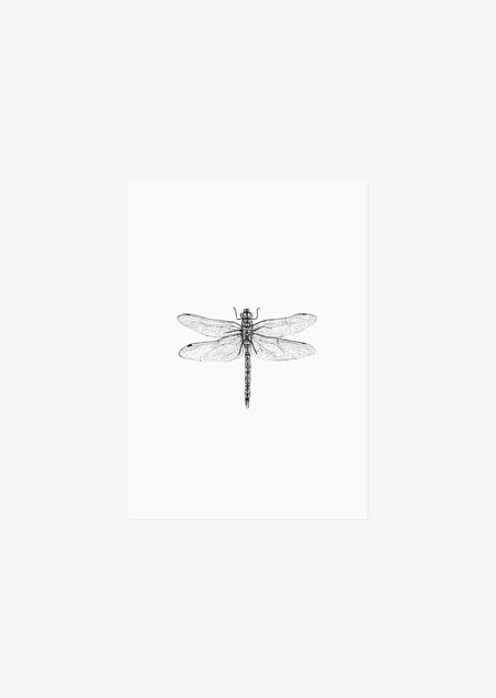 Label - dragonfly
