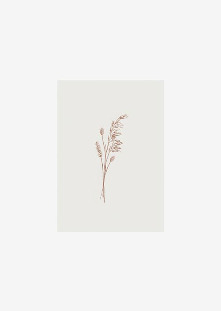 Label - dried flowers