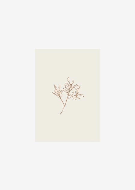 Label - 10x eucalyptus (beige)