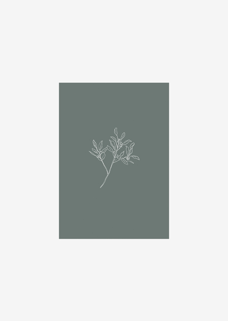 Label - eucalyptus (groen)