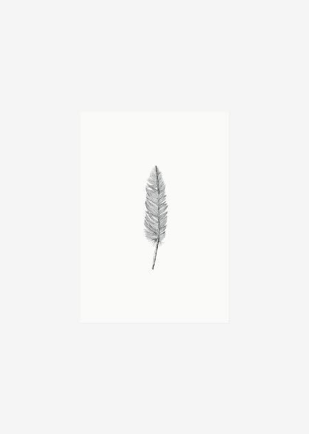 Label - feather