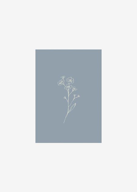 Label - forget-me-not (blue)
