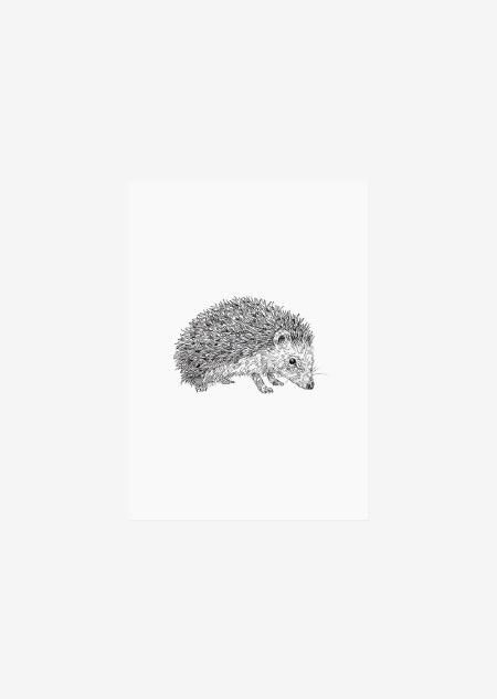 Label - hedgehog (bw)