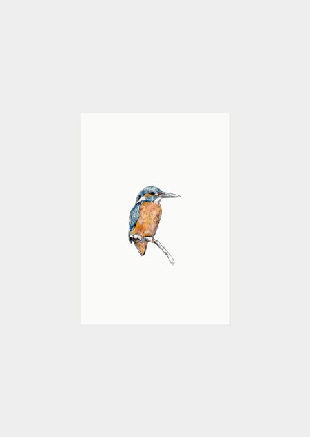 Label - kingfisher