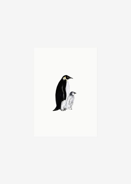 Label - pinguins