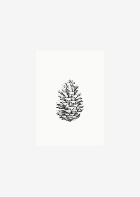 Label - pine cone