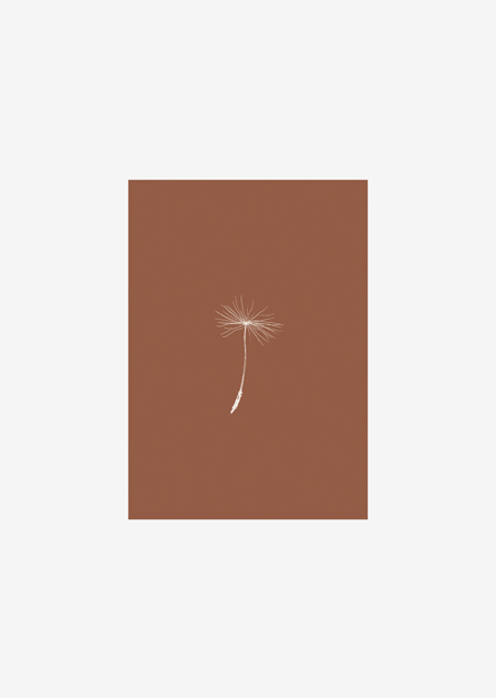 Label - dandelion seed (terra)