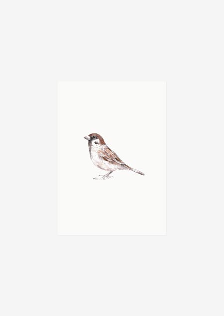 Label - sparrow
