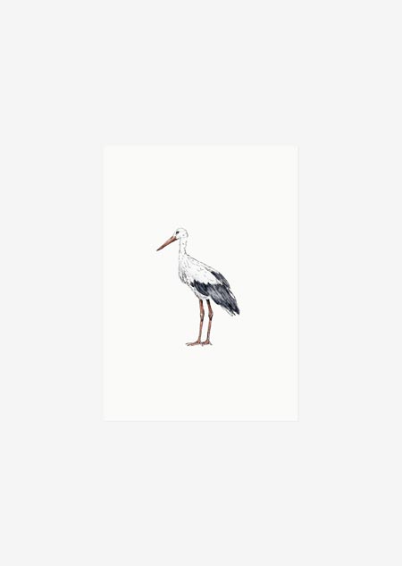 Label - stork