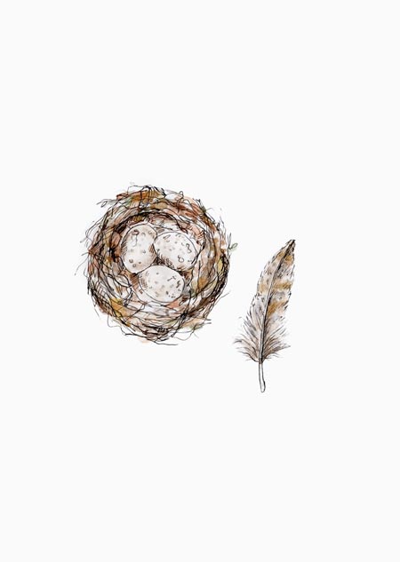 Nest with feather