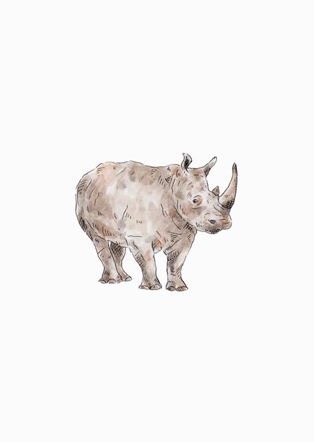 Rhino (color)
