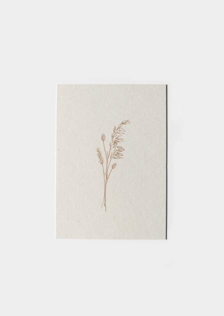 Dried flowers (paperwise)