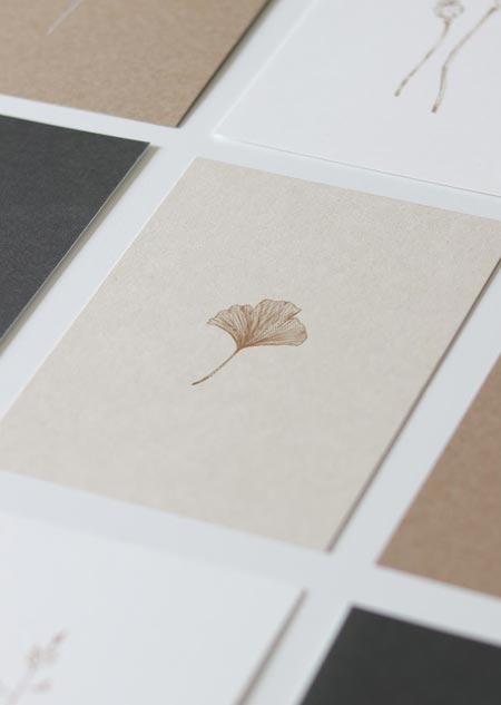 Ginkgo (paperwise) 