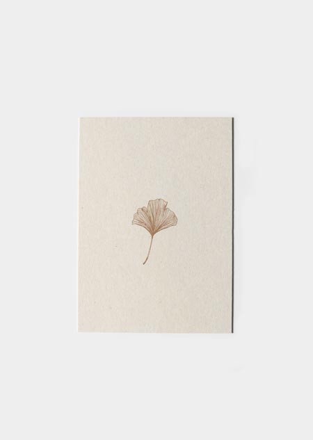 Ginkgo (paperwise) 