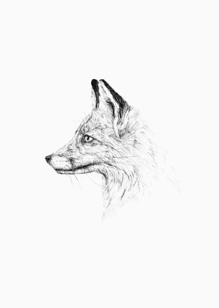 Fox (black-white) - A5 print