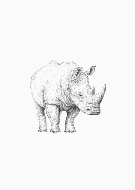 Rhino - A5 print