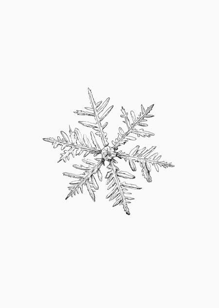 Snowflake - A5 print