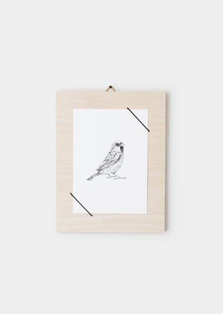 House sparrow (black-white)