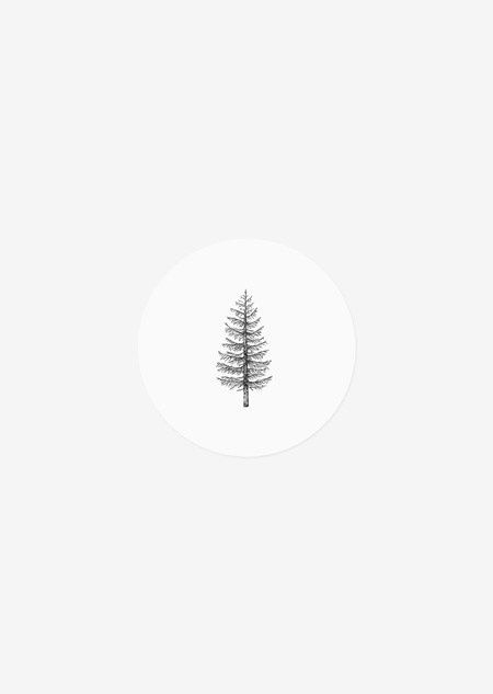 Sticker roll of 50 - pine tree